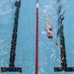 Sociologie aquatique en bassin fermé : une exploration en dilettante - Le Temps