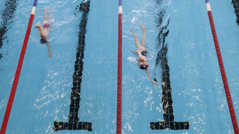 Sociologie aquatique en bassin fermé : une exploration en dilettante - Le Temps