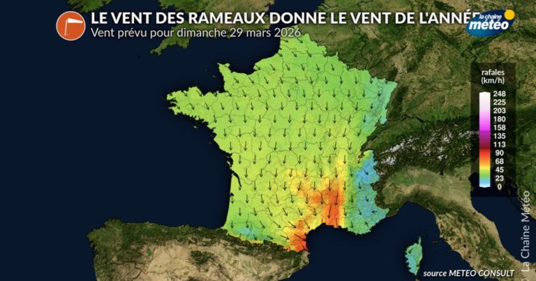 Le vent des Rameaux ce dimanche : un indice météo pour l'été à venir