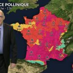Pollens et allergies : risque réduit au nord dimanche, vigilance au sud malgré le vent