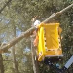 Nîmes : un ouvrier blessé par un tronc d’arbre sur le chantier du square Wladimir-Guiu