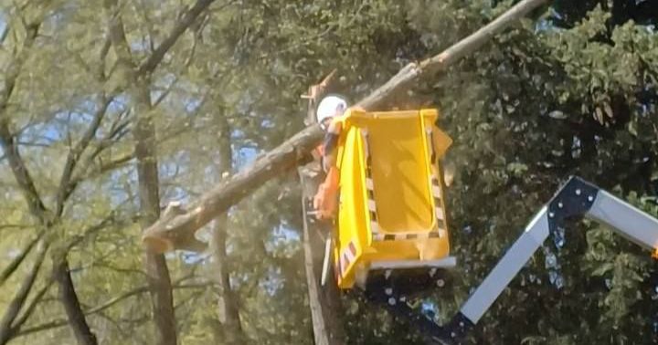 Nîmes : un ouvrier blessé par un tronc d’arbre sur le chantier du square Wladimir-Guiu