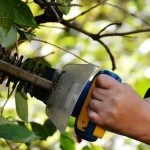 L’interdiction de la taille des haies et des arbres encore repoussée dans le Sud-Aveyron : voici où, et jusqu’à quand