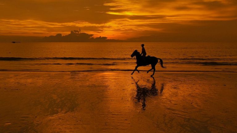 En Thaïlande, une touriste chute de poney : son assurance refuse de couvrir 24 000 € de frais médicaux