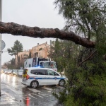 Mistral très fort : Montpellier ferme parcs, jardins et cimetières face à des rafales de 90 km/h