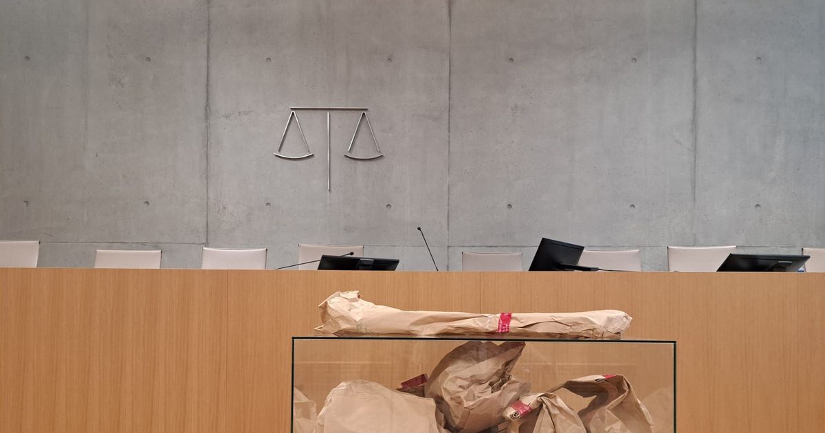 Landes : un ex-animateur périscolaire mis en examen, une quinzaine de victimes potentielles