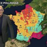 Pollen et allergies : pluie et vent limitent les pollens, vigilance sur le cyprès en Méditerranée