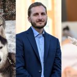 Enquête sur la mort suspecte de deux huskies et recours contre l'élection à Toulouse