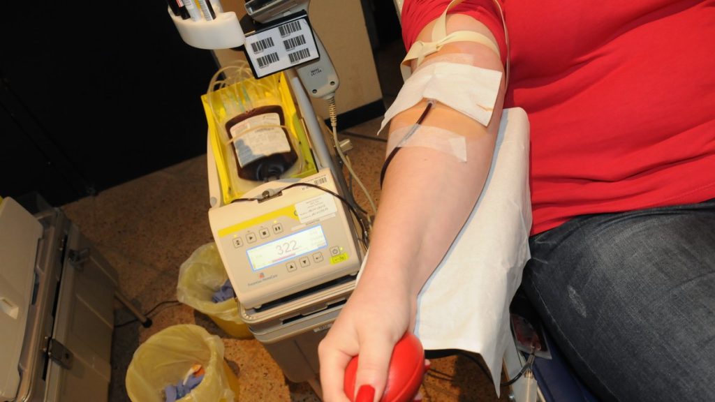 Rodez : Collectes de déchets en avril 2023 dans l'Aveyron