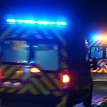 Collision entre une voiture et un cheval en divagation : un mort en Dordogne