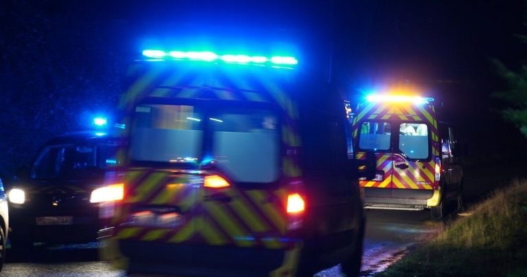 Collision entre une voiture et un cheval en divagation : un mort en Dordogne