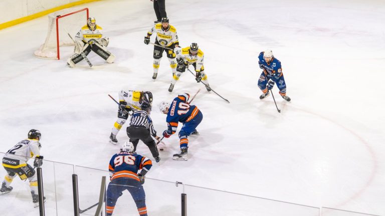Les Vipers de Montpellier dominent à Végapolis avant leur match contre Roanne
