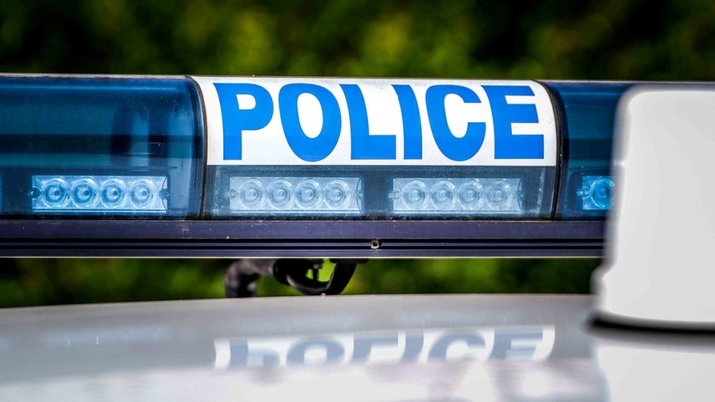 Deux chevaux échappés sur la rocade Alain-Bertrand à Mende après la clôture du pré