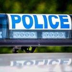 Deux chevaux échappés sur la rocade Alain-Bertrand à Mende après la clôture du pré