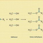 Glycérine et propylène glycol : leurs rôles dans le vapotage et la cuisine