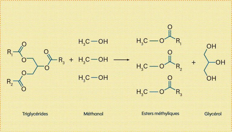 Glycérine et propylène glycol : leurs rôles dans le vapotage et la cuisine