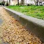 Poll’Occ : un outil innovant pour anticiper les allergies aux pollens