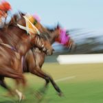 A Méral, l'hippodrome est prêt pour la saison 2026 - ICI