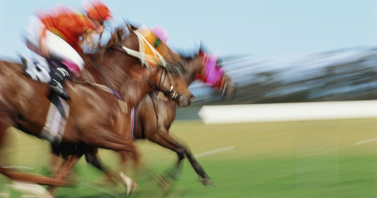 À Méral, l'hippodrome se prépare pour la saison 2026 - ICI