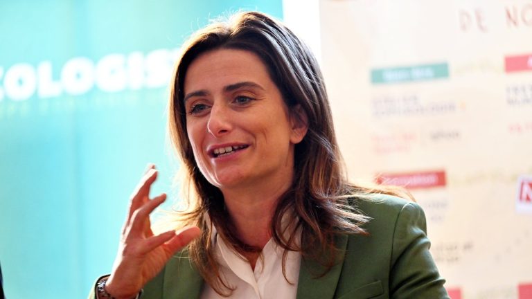 Marine Tondelier, patronne des Écologistes, annonce sa grossesse : un bébé miracle.