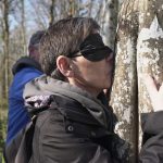 "Dès que je croise un chêne, je l'empoigne", des bisous et des câlins aux arbres : connaissez-vous les bains de forêt ?