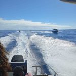 Aérodromes bloqués : ces navettes qui dépannent (en partie) les habitants