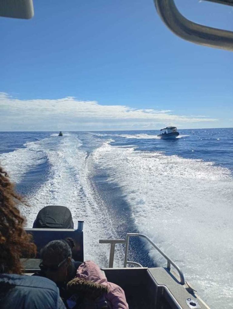 Aérodromes bloqués : ces navettes qui dépannent (en partie) les habitants