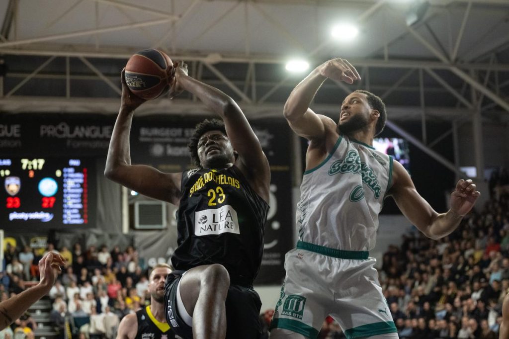 Basket : les Palois l'emportent dans un choc d'Élite 2 face à La Rochelle (81-85)