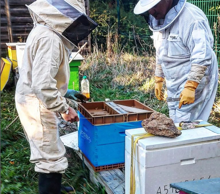 Association de l'Eure cherche bénévoles pour récolte de miel et protection des abeilles
