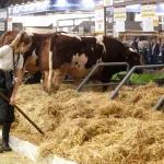Femmes dans l'agriculture : 5 chiffres illustrant les inégalités persistantes