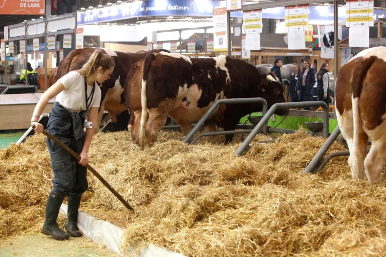 Femmes dans l'agriculture : 5 chiffres illustrant les inégalités persistantes