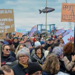 L'intérêt des Français pour l'écologie ne se mesure pas aux résultats des Verts