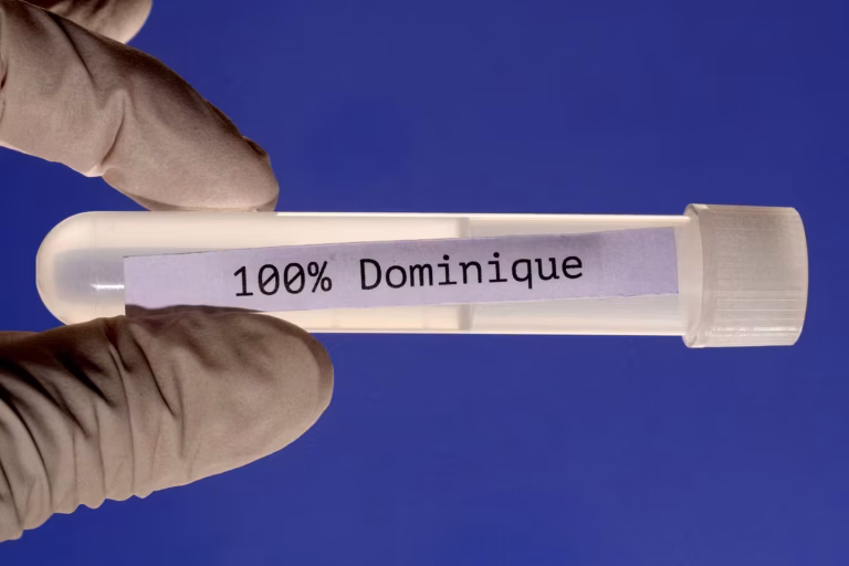 Le prénom : un récit qui semble trop exagéré pour un film, selon ses créateurs