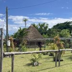 Activités économiques sur terres coutumières : la CPME propose un projet pilote à Lifou