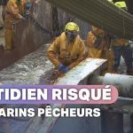 30 jours en mer du Nord : la vie des pêcheurs
