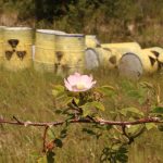 Cigéo : l'accélération des travaux soulève des inquiétudes sur la sûreté