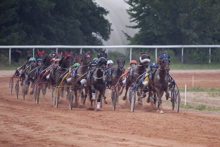 Près d'Elbeuf : les turfistes ont rendez-vous dès ce week-end pour le lancement de la saison des courses