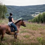 4 activités incontournables pour les amoureux des animaux en Ardenne