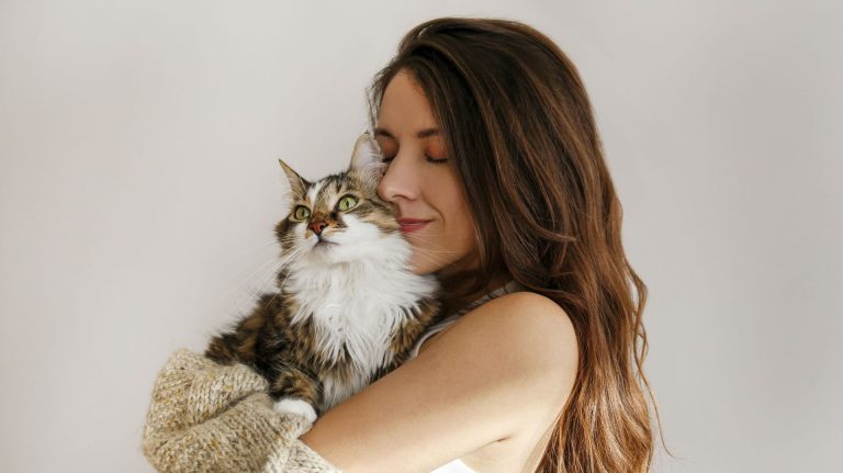 Les chats pourraient-ils contribuer à améliorer le traitement du cancer du sein ?