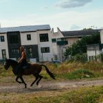 Trois spectacles de cirque au théâtre du Préau et à l'hippodrome de Vire Normandie