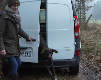 Violaine, chasseuse à Osenbach, transforme sa passion en métier
