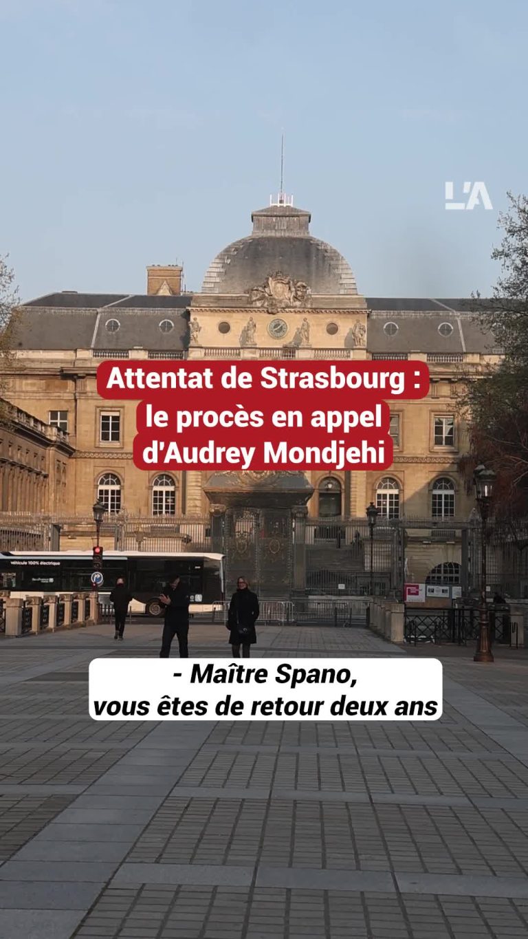 Procès en appel d'Audrey Mondjehi lié à l'attentat de Strasbourg