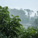 Deux régions françaises en pénurie d'eau malgré les pluies : risque de sécheresse élevé