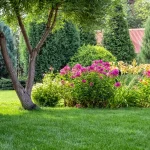 Plantes irritantes à éviter au jardin au printemps : attention aux allergies