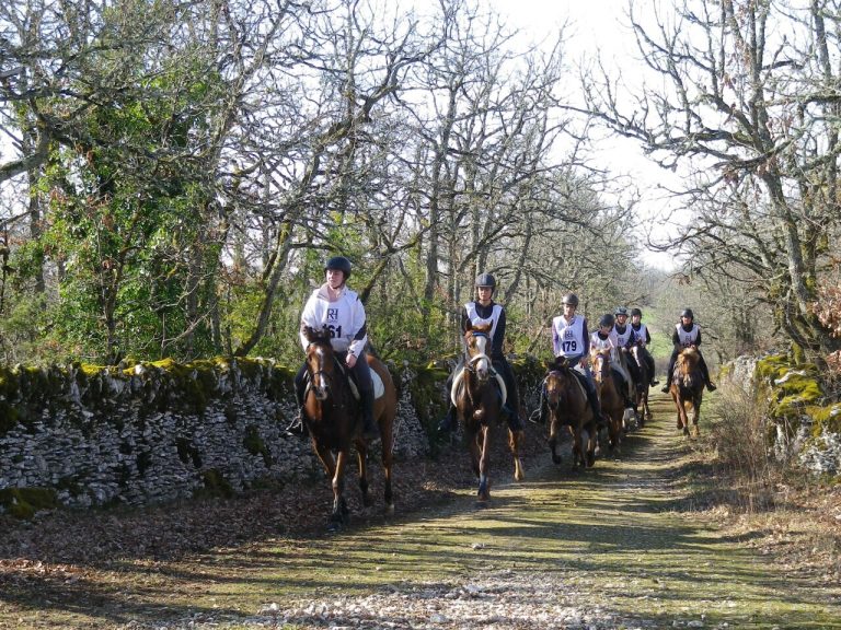 Course équestre d'endurance à Cremps : top départ les 7 et 8 mars