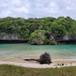 Affaire Mika Kusama : l’enquête relancée plus de vingt ans après