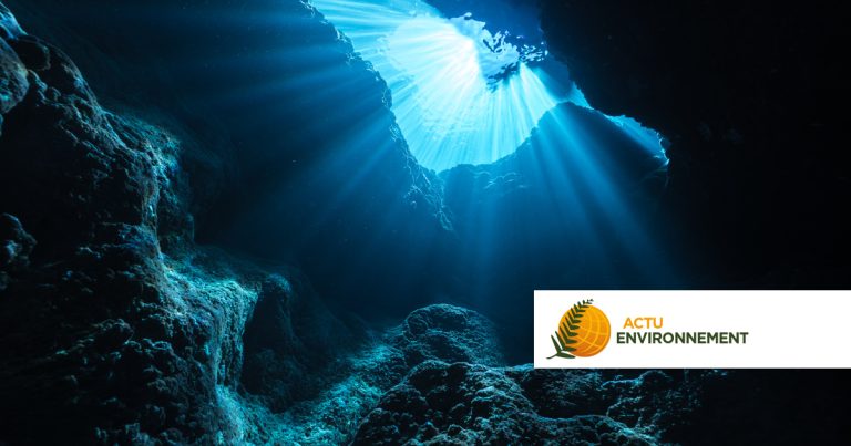 Exploitation des fonds marins : des entreprises cherchent à contourner l'Autorité internationale