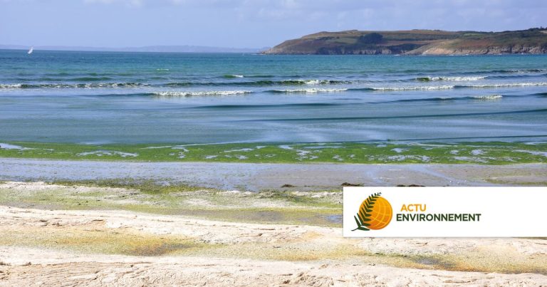 Alerte sur les masses d'eau : état des lieux dans le bassin Loire-Bretagne (1/7)