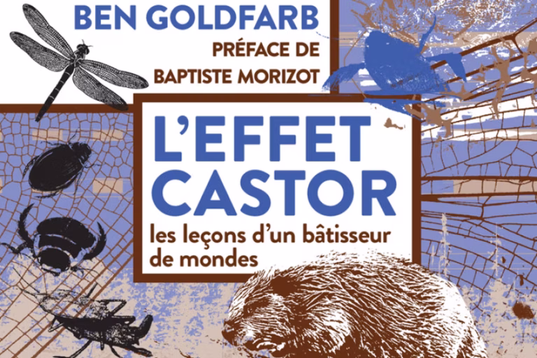 « L’Effet castor : une enquête sur un bâtisseur essentiel pour l'écosystème »