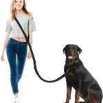 Philorn Laisse mains libres pour chien, ceinture pour chiens de grande et moyenne taille, pour la course, la marche, le jogging et la randonnée, double poignées rembourrées